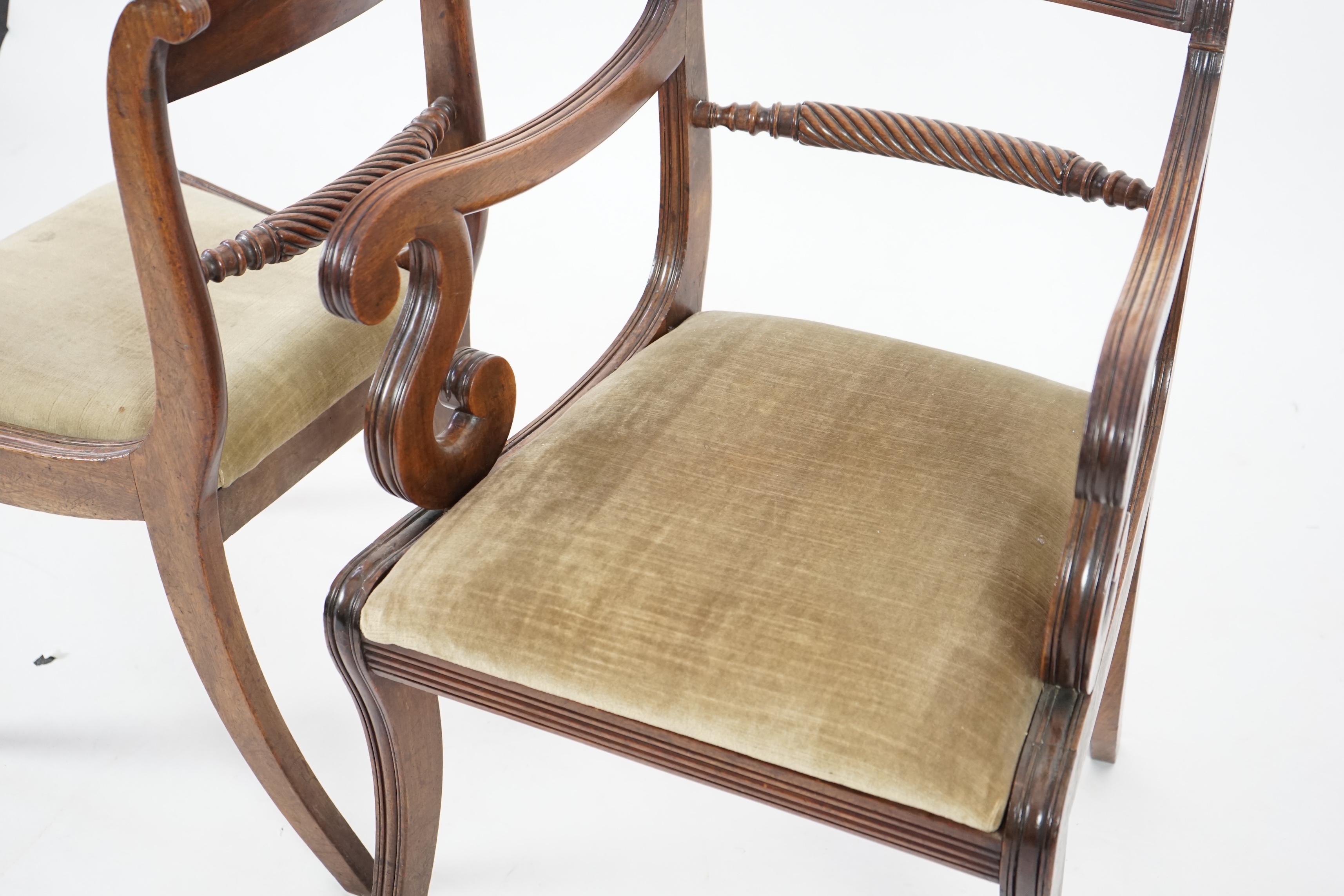 A set of ten Regency mahogany dining chairs, including a pair of carvers